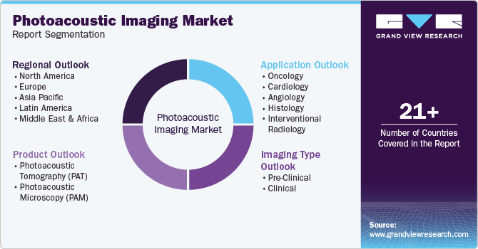 Global Photoacoustic Imaging Market Report Segmentation
