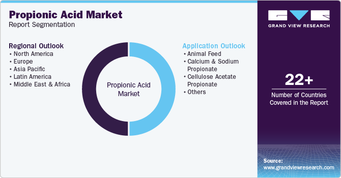 Global Propionic Acid Market Report Segmentation
