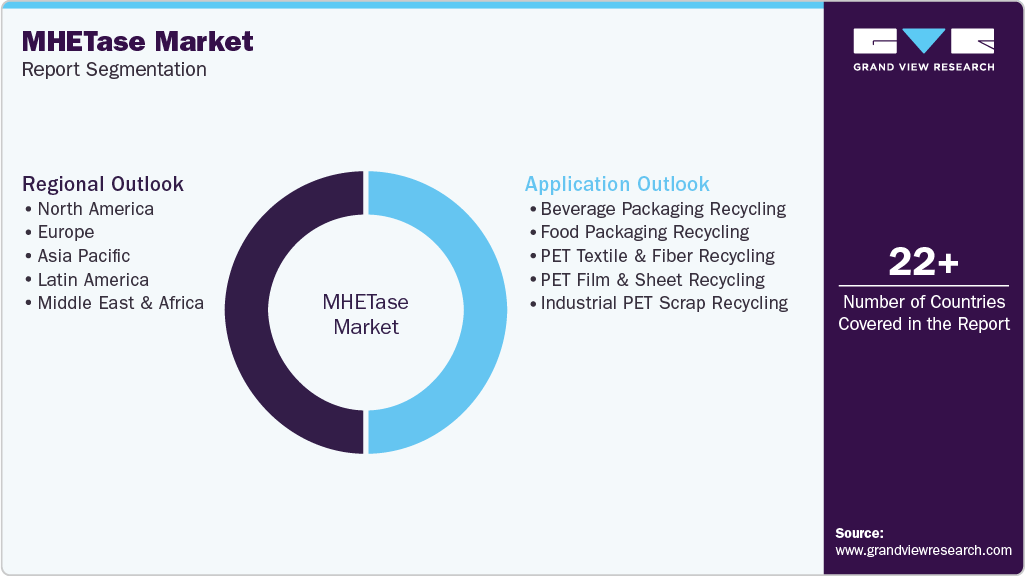 Global MHETase Market Report Segmentation