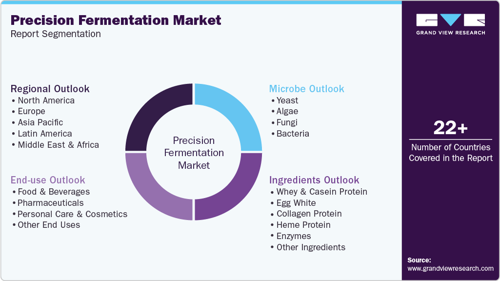 Global Precision Fermentation Market Report Segmentation