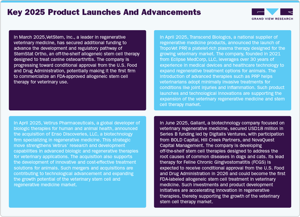 Key 2025 Product Launches and Advancements