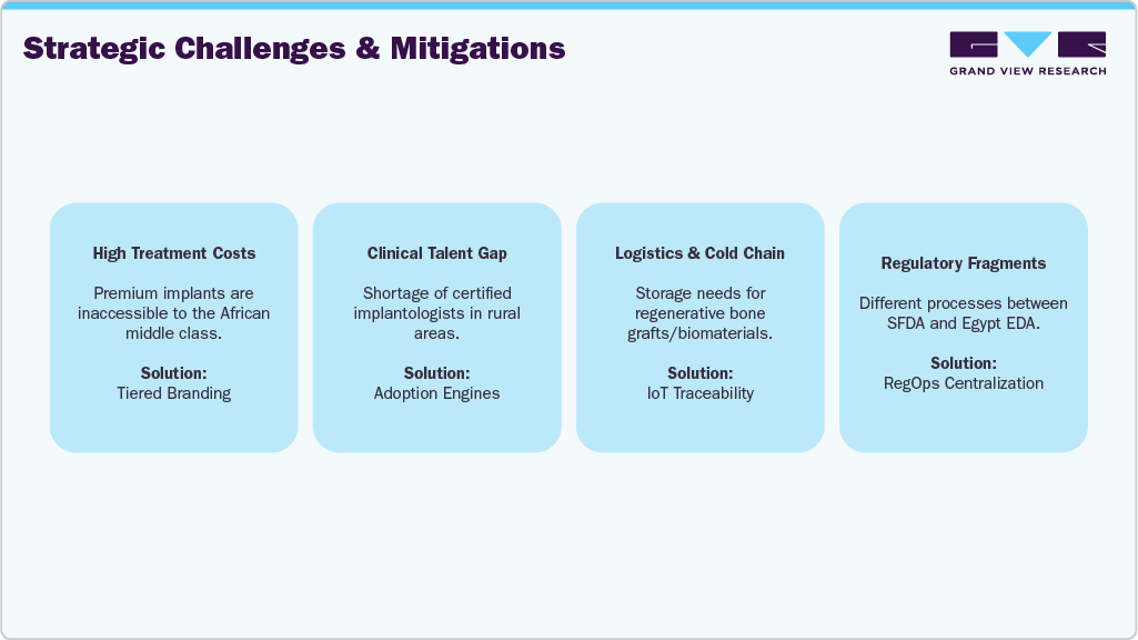 Strategic Challenges & Mitigations